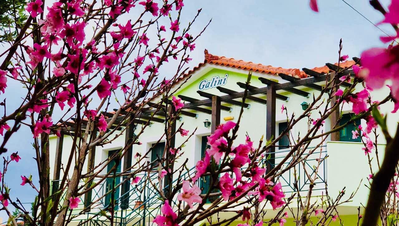 Galini Apartments Trapezaki  Ngoại thất bức ảnh